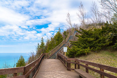 Bridge amidst plants and trees against sky