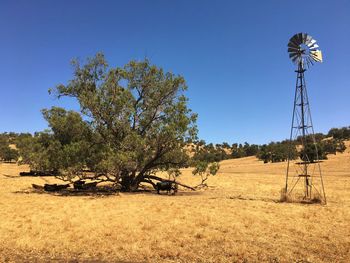 Trees on field against clear sky