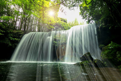 Scenic view of waterfall in forest