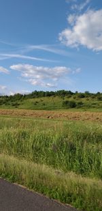 Scenic view of field against sky