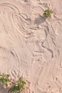 Full frame shot of sand dune