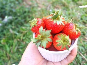 Close-up of hand holding strawberry