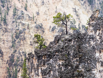 Full frame shot of rock formation on land