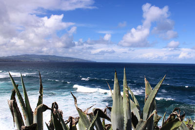 Scenic view of sea against sky