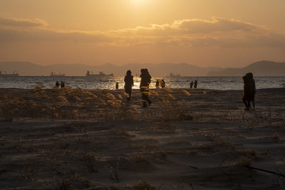 People at beach during sunset