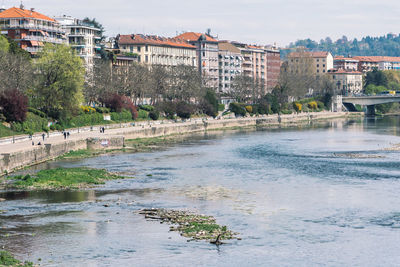 Buildings by river