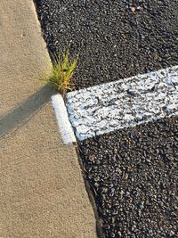 High angle view of road