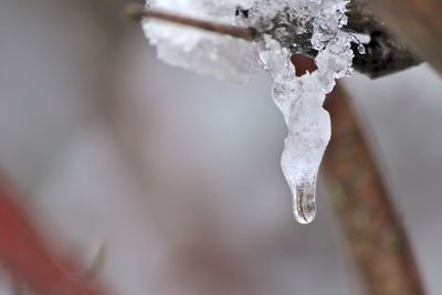 Close-up of ice crystals