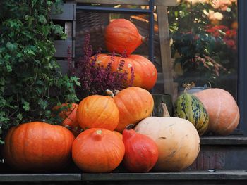 Autumn decoration with pumpkins, heather outside the flower shop. halloween and thanksgiving day. 