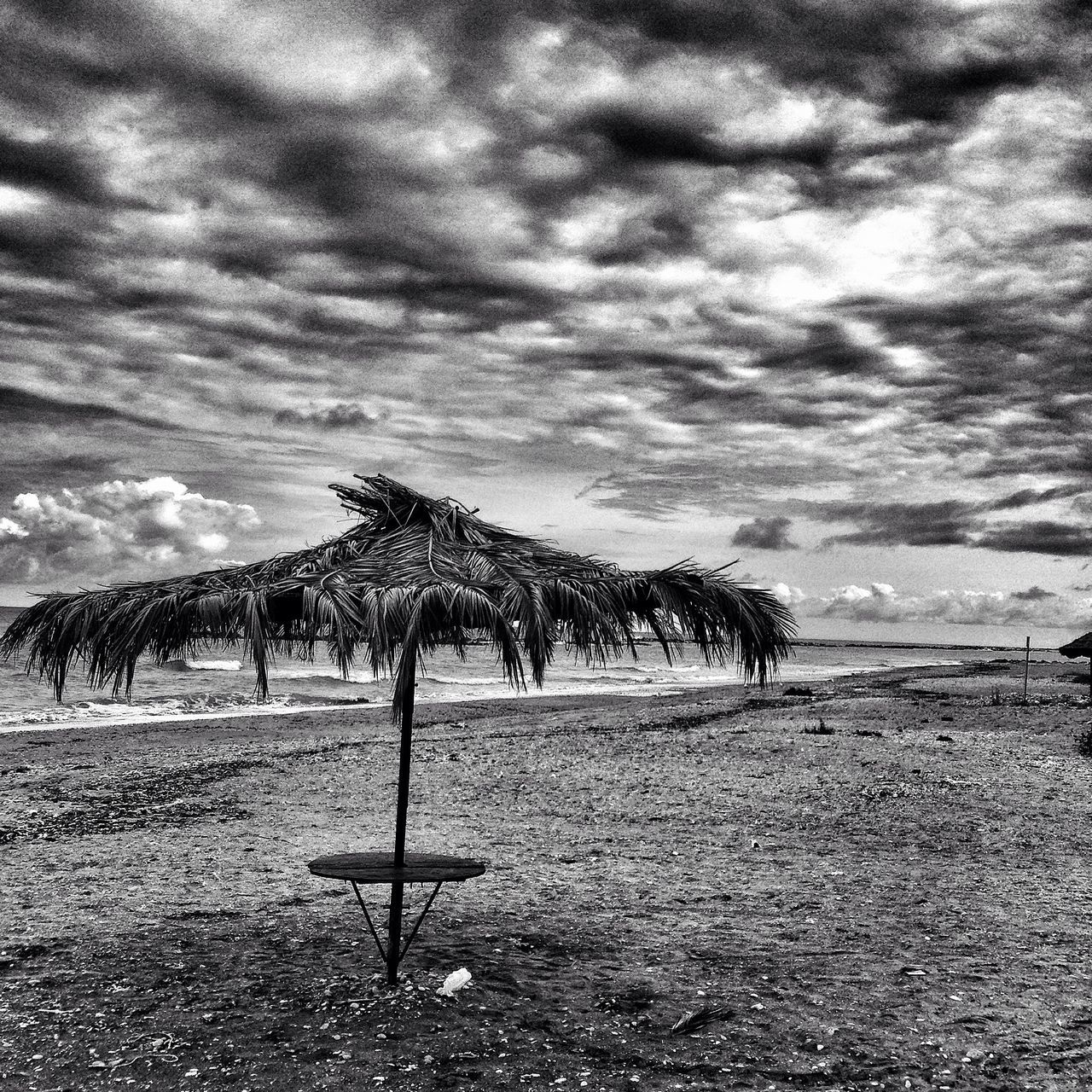 sky, cloud - sky, tranquil scene, tranquility, cloudy, tree, scenics, beauty in nature, beach, nature, cloud, landscape, sand, field, idyllic, growth, non-urban scene, sea, outdoors, remote