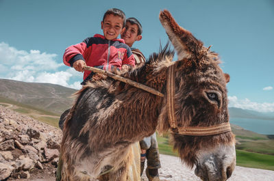 Low angle portrait of boys riding donkey against blue sky during sunny day