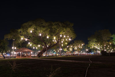 Illuminated street light by trees in city at night