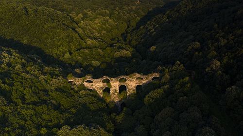 High angle view of fort in forest