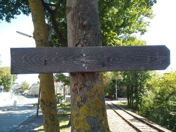 Close-up of tree trunk against sky