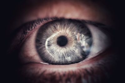 Extreme close up of human eye