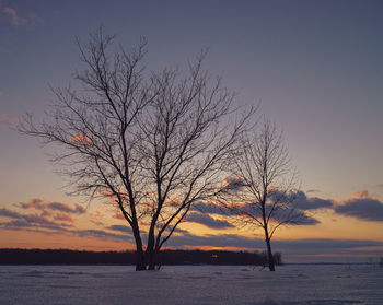 Silhouette bare tree against sky during sunset