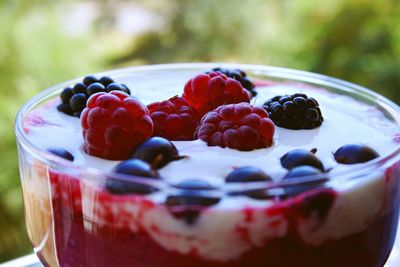 Close-up of dessert in plate