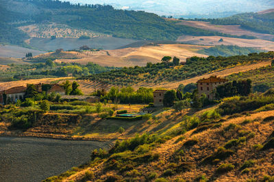 Scenic view of rural landscape