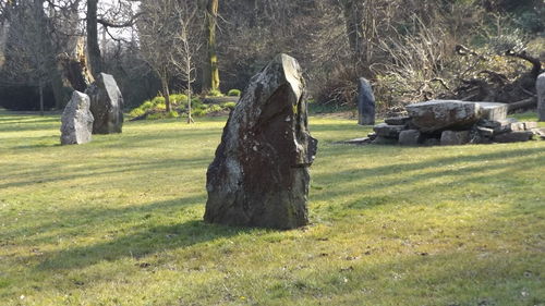 Statue of grassy field in park