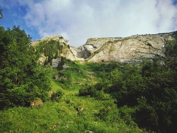 Trees and rock formation against sky