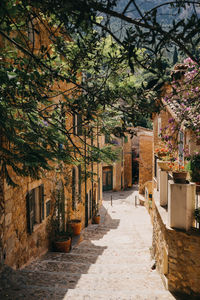 Alley amidst buildings in city