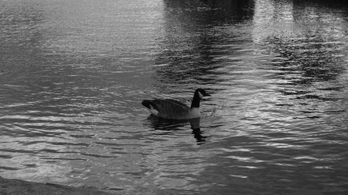 Woman in water