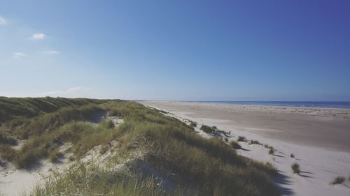 Scenic view of beach against clear sky