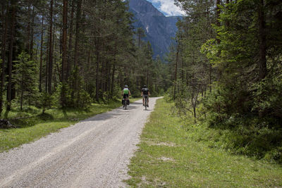 Rear view of people cycling on road in forest