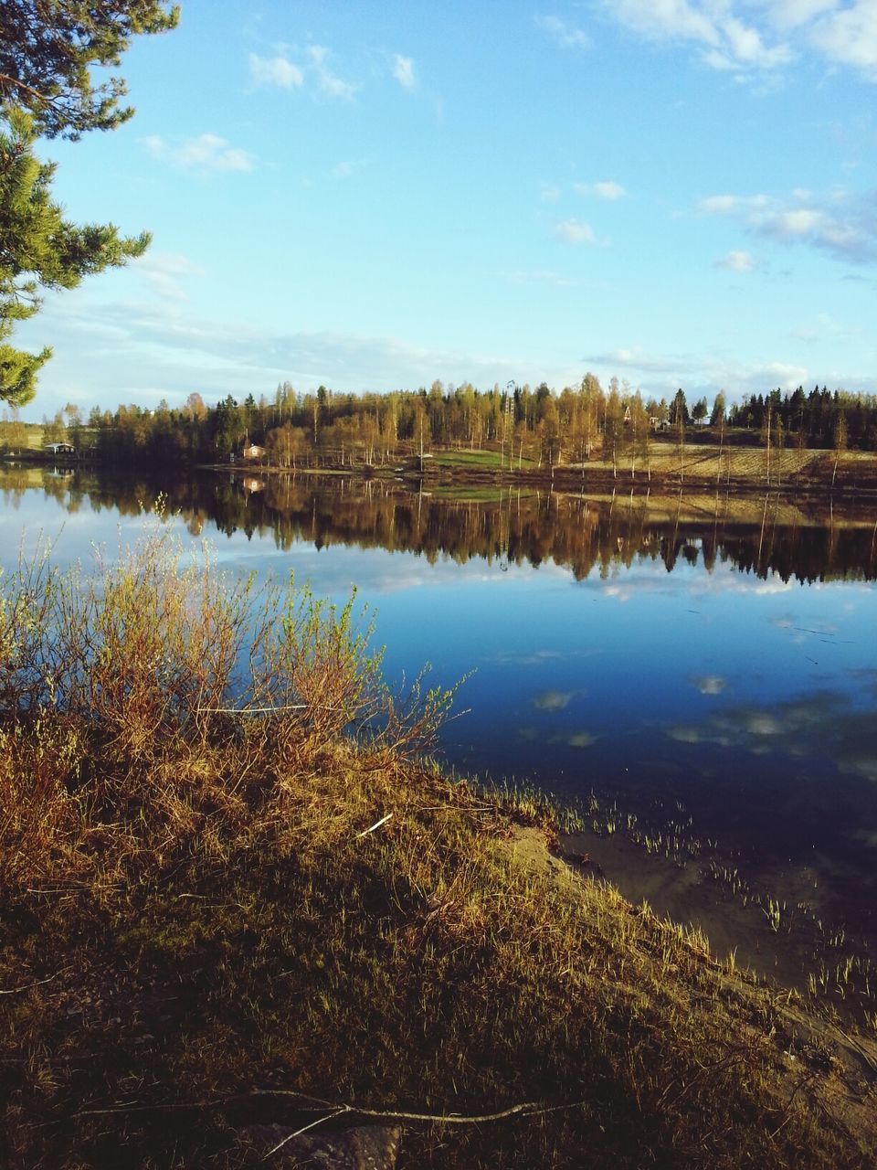 water, reflection, lake, sky, tree, tranquility, tranquil scene, scenics, beauty in nature, nature, blue, cloud - sky, standing water, cloud, idyllic, growth, calm, outdoors, day, river