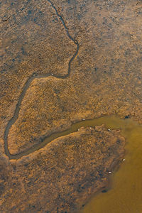 High angle view of road along river