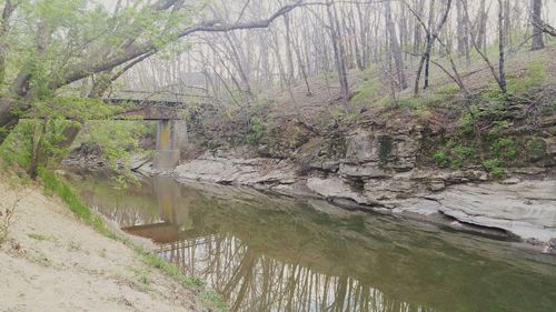 Stream flowing through rocks