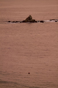 Scenic view of sea