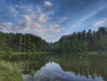 Reflection of trees in lake against sky