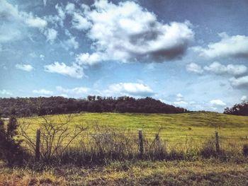 Scenic view of field against sky