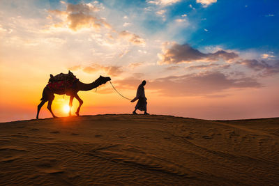 Man with camel walking at desert against sky during sunset