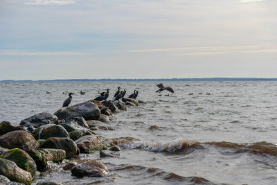 Scenic view of sea against sky