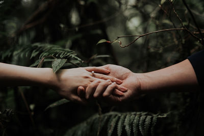 Cropped image of couple holding hands against plants