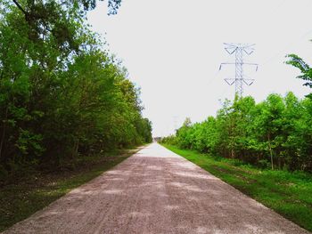 Road passing through forest