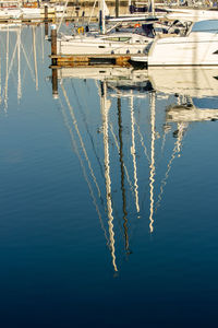 Sailboats moored in harbor