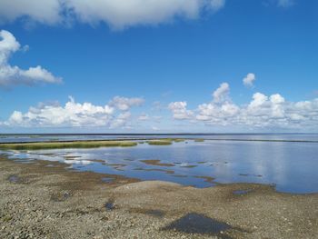 Scenic view of beach against blue sky
