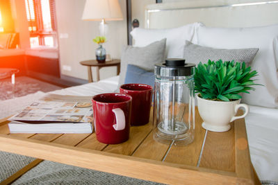 Potted plant on table at home