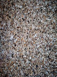 Full frame shot of stones on beach