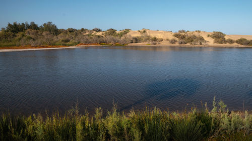 Scenic view of lake against clear sky