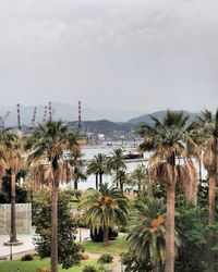 Palm trees by lake against sky