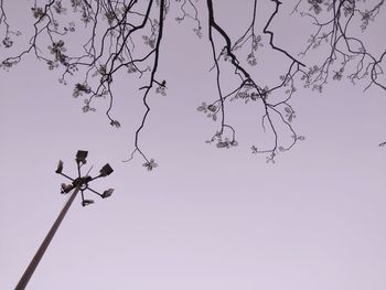 Low angle view of weather vane against clear sky