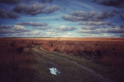 Scenic view of landscape against cloudy sky