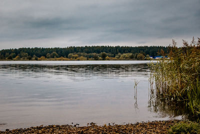 Cold autumn lake, cloudy weather. view of the gloomy landscape.