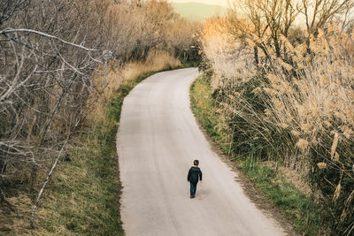 Rear view of boy walking on road amidst trees