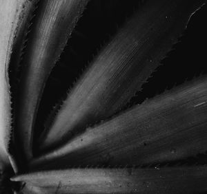 Full frame shot of metallic structure