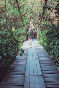 Rear view of woman walking on footpath amidst trees in forest